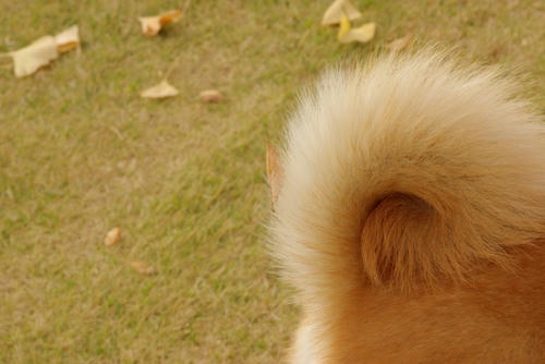 IMGP7839.jpg