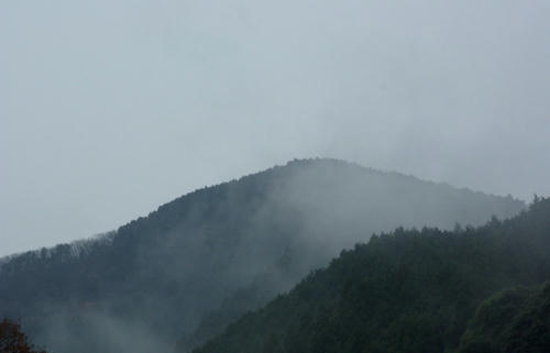 IMGP9473.jpg