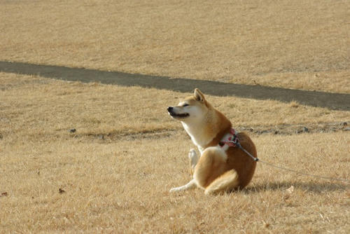 IMGP0414.jpg