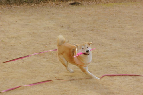 IMGP3860.jpg
