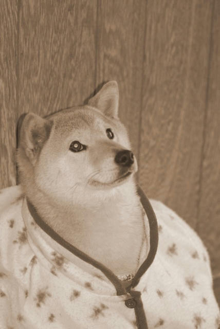 IMGP6006.jpg