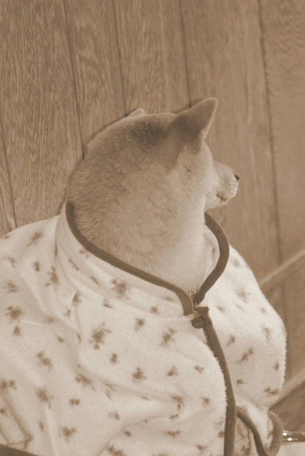 IMGP6009.jpg