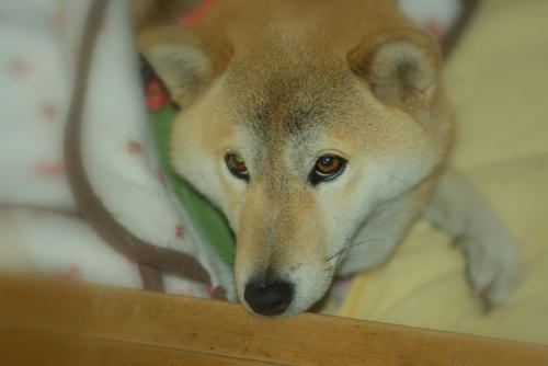 IMGP6852.jpg