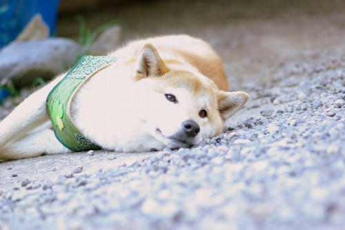 f1b83d27.jpg