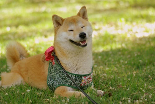 IMGP9191.jpg