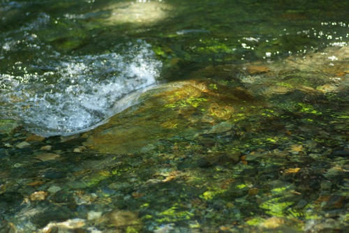 IMGP2938.jpg