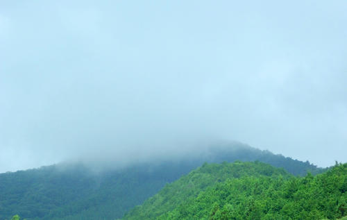 IMGP5115.jpg