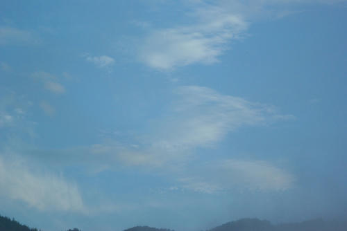 IMGP5878.jpg