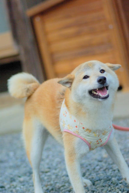IMGP7140.jpg