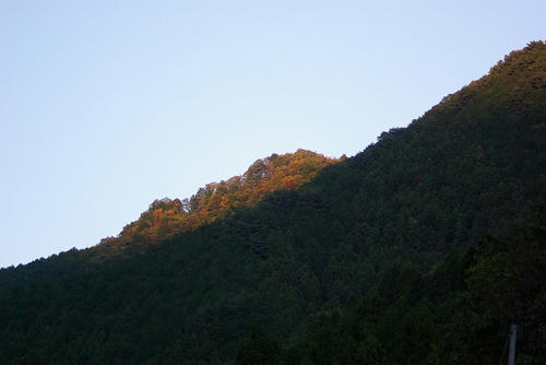 IMGP2256.jpg
