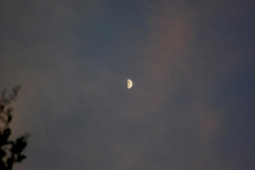 IMGP3105.jpg