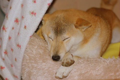 IMGP3292.jpg