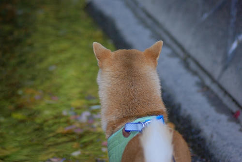 IMGP3614.jpg