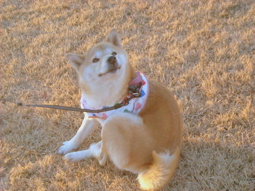 DSCN2450.jpg