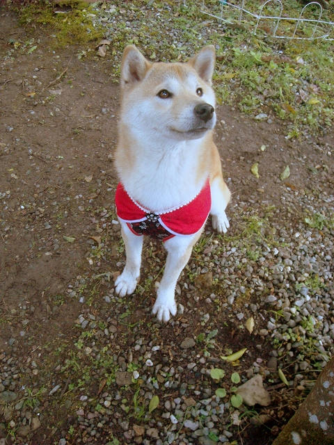 DSCN2536.jpg
