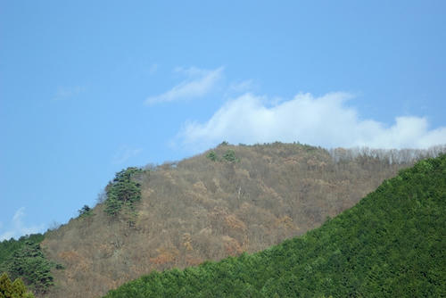 IMGP4551.jpg