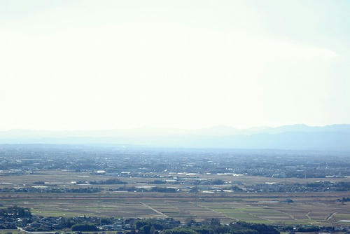 IMGP1034.jpg
