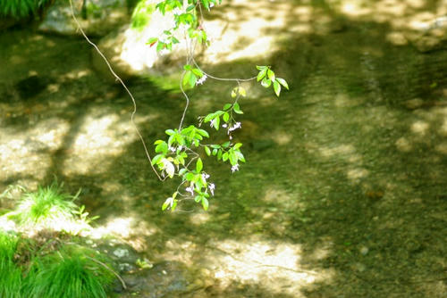 IMGP0160.jpg