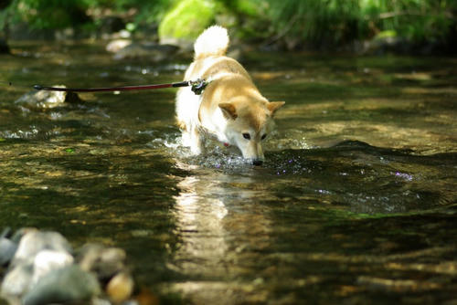 IMGP0113.jpg