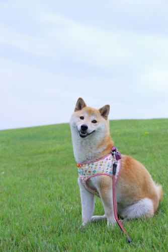 IMGP0927.jpg