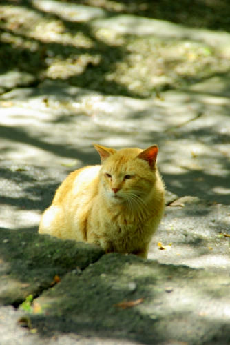 IMGP1055.jpg