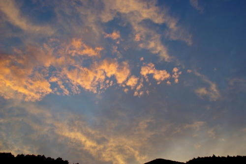 IMGP1211.jpg
