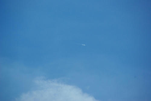 IMGP1143.jpg