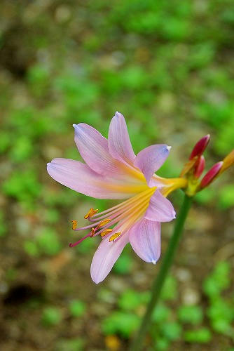 IMGP6059.jpg
