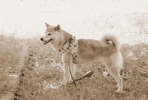 IMGP6221.jpg