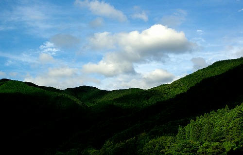IMGP9818.jpg