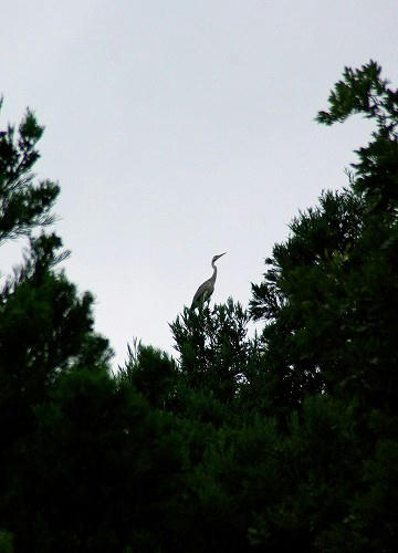 IMGP0644.jpg