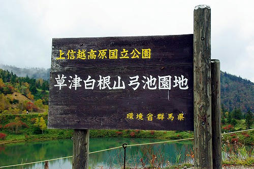 IMGP4702.jpg
