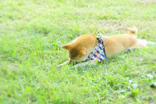 IMGP5284.jpg