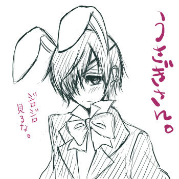 うさぼったん。