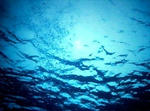 ocean.jpg