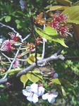 080406_1406~0001.jpg
