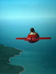 dogflight.jpg