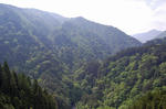 n06.jpg