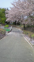 NEC_0127.jpg