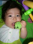CIMG0954.JPG