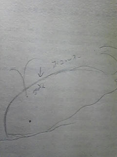 ホエルオーDEなみのり