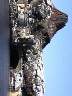 DVC00083.JPG