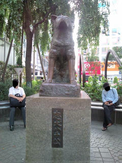 F1080704.jpg