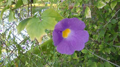 P1000066.JPG