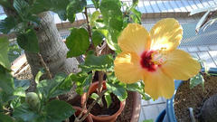P1000081.JPG
