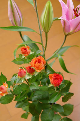 d9745da1.jpg