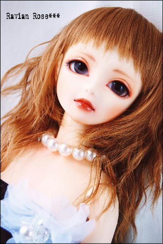 妃茄