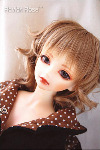 妃茄