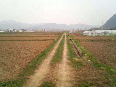 TS370890.JPG