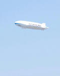 fly1.jpg